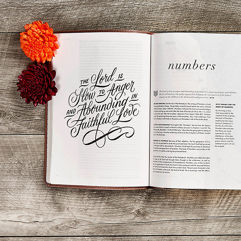 Load image into Gallery viewer, CSB She Reads Truth Bible, Rose Gold LeatherTouch Notetaking Space, Devotionals, Reading Plans, Easy-to-Read Font
